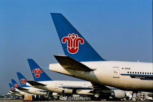 襄陽青年請注意 南方航空招飛啟動，翱翔藍天夢想觸手可及